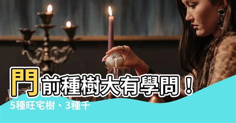 門前適合種什麼樹 娛樂公司名字